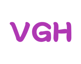 VGH 第12类运输工具商标图样