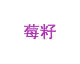 莓籽 第35类广告贸易商标图样