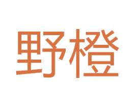 野橙 第27类地毯席垫商标图样