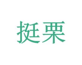 挺栗 第25类服装鞋帽商标图样