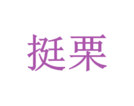 挺栗 第10类医疗器械商标图样