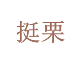 挺栗 第9类科学仪器商标图样