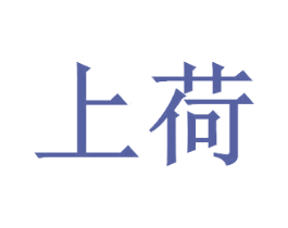 上荷 第27类地毯席垫商标图样