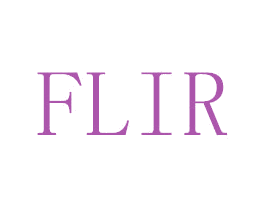 FLIR 第6类五金金属商标图样