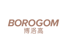 博洛高 BOROGOM 第9类科学仪器商标图样