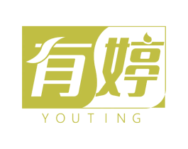 有婷 第5类医药商标图样