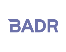 BADR 第25类服装鞋帽商标图样