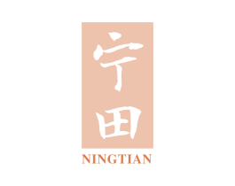 宁田 第5类医药商标图样