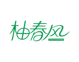 柚春风 第9类科学仪器商标图样