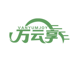 万云享 VANYUMJOY 第42类技术服务商标图样