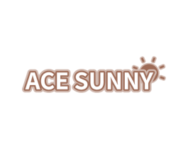 ACE SUNNY 第18类皮革箱包商标图样