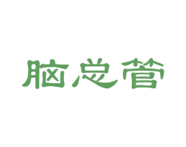 脑总管 第41类教育娱乐商标图样