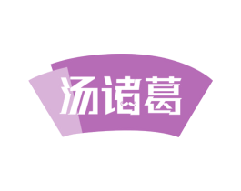汤诸葛 第29类食品商标图样