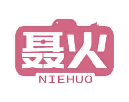 聂火 第41类教育娱乐商标图样