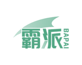 霸派 第36类金融物管商标图样