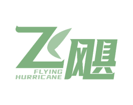 飞飓 FLYING HURRICANE 第26类花边配饰商标图样