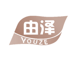 由泽 第21类厨房洁具商标图样