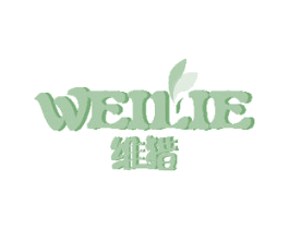 维猎 第20类家具商标图样
