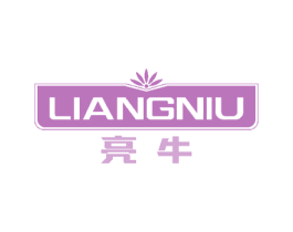 亮牛 第18类皮革箱包商标图样
