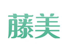 藤美 第11类家用电器商标图样