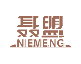 聂盟 第10类医疗器械商标图样