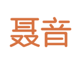 聂音 第9类科学仪器商标图样