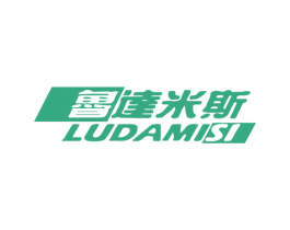 鲁达米斯 第5类医药商标图样
