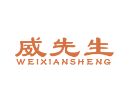 威先生 第17类橡胶制品商标图样