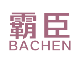 霸臣 第6类五金金属商标图样