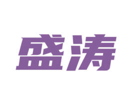 盛涛 第42类技术服务商标图样