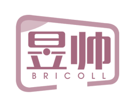 昱帅 BRICOLL 第9类科学仪器商标图样