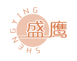 盛鹰 第28类体育玩具商标图样