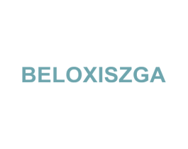 BELOXISZGA 第18类皮革箱包商标图样