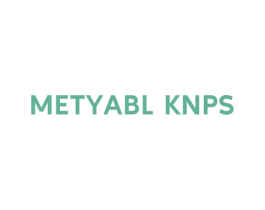 METYABL KNPS 第18类皮革箱包商标图样