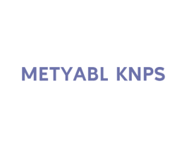 METYABL KNPS 第25类服装鞋帽商标图样