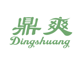 鼎爽 第10类医疗器械商标图样