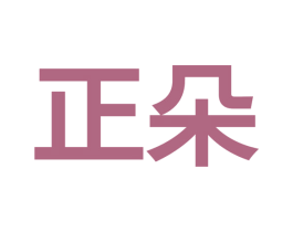 正朵 第9类科学仪器商标图样