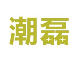 潮磊 第9类科学仪器商标图样