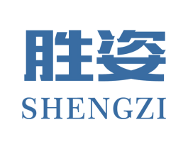 胜姿 第9类科学仪器商标图样
