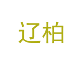 辽柏 第25类服装鞋帽商标图样