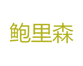 鲍里森 第25类服装鞋帽商标图样