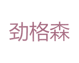 劲格森 第25类服装鞋帽商标图样