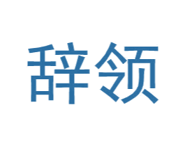 辞领 第25类服装鞋帽商标图样
