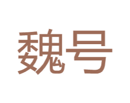 魏号 第25类服装鞋帽商标图样