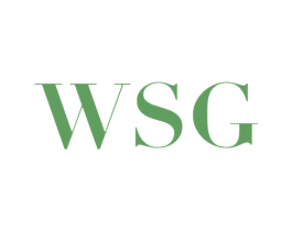 WSG 第14类珠宝钟表商标图样