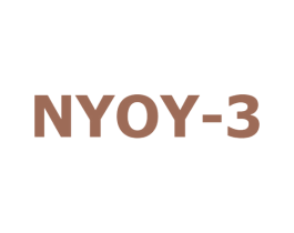 NYOY-3 第25类服装鞋帽商标图样