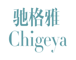 驰格雅 第21类厨房洁具商标图样