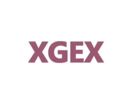 XGEX 第18类皮革箱包商标图样