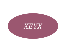 XEYX 第18类皮革箱包商标图样