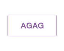 AGAG 第18类皮革箱包商标图样